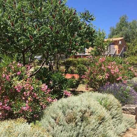 Hotel Les Ambres Roussillon en Isere Esterno foto