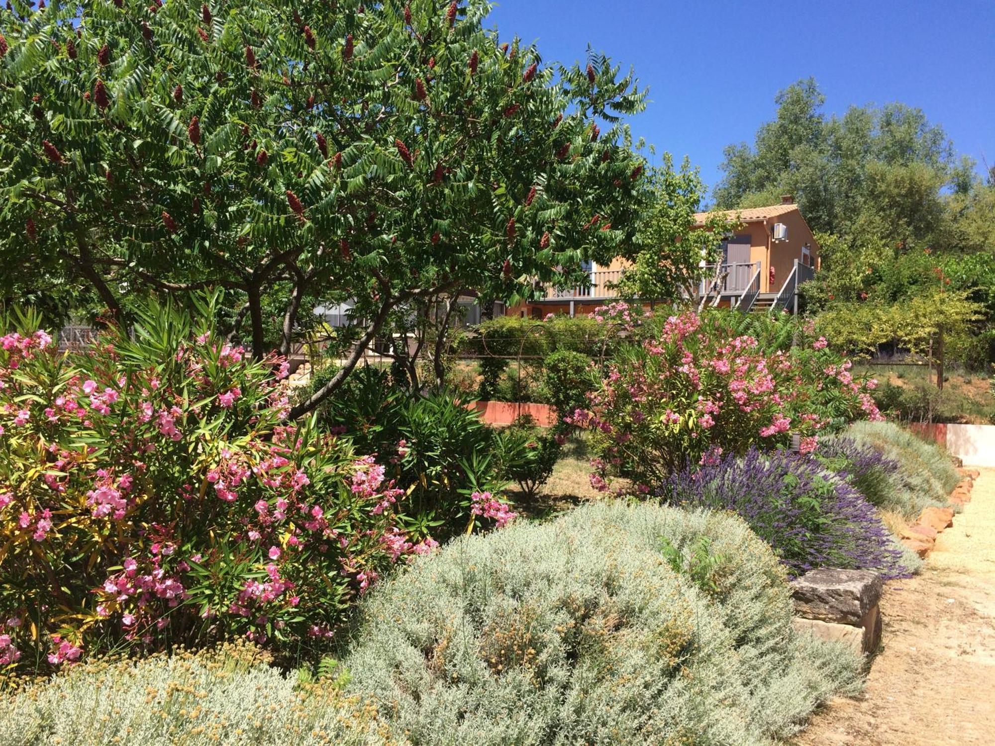 Hotel Les Ambres Roussillon en Isere Esterno foto